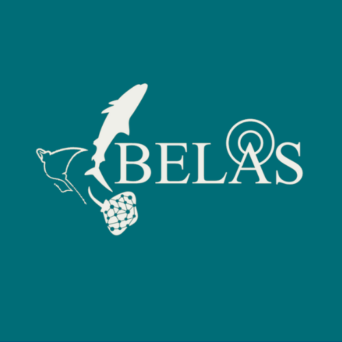 BELAS logo